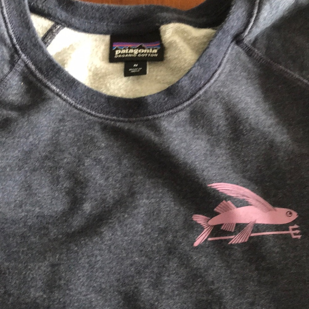 Patagonia soft sweat shirt